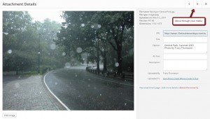 WordPress 4.0 Attachment Details
